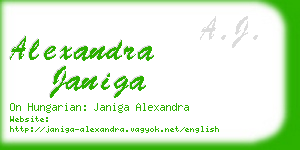 alexandra janiga business card